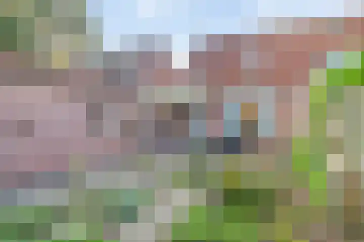 Mosveld 4 Hapert thumbnail 37