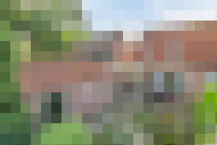 Mosveld 4 Hapert thumbnail 38