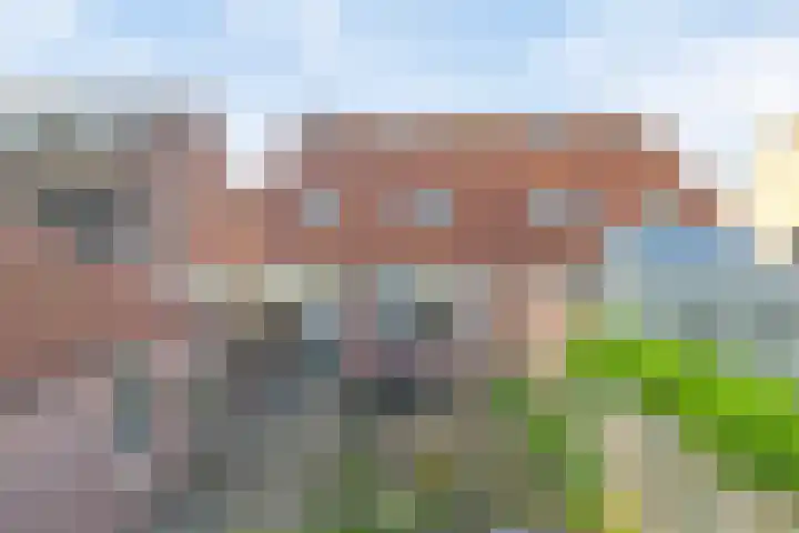 Mosveld 4 Hapert thumbnail 39