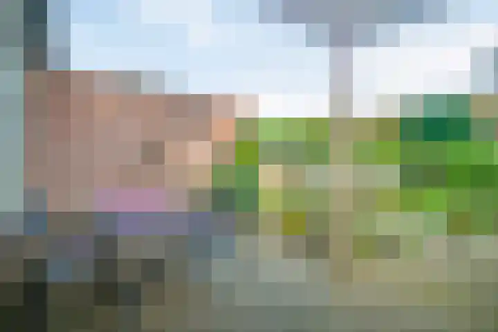 Mosveld 4 Hapert thumbnail 4