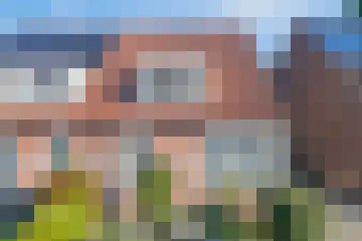 Mosveld 4 Hapert thumbnail 40