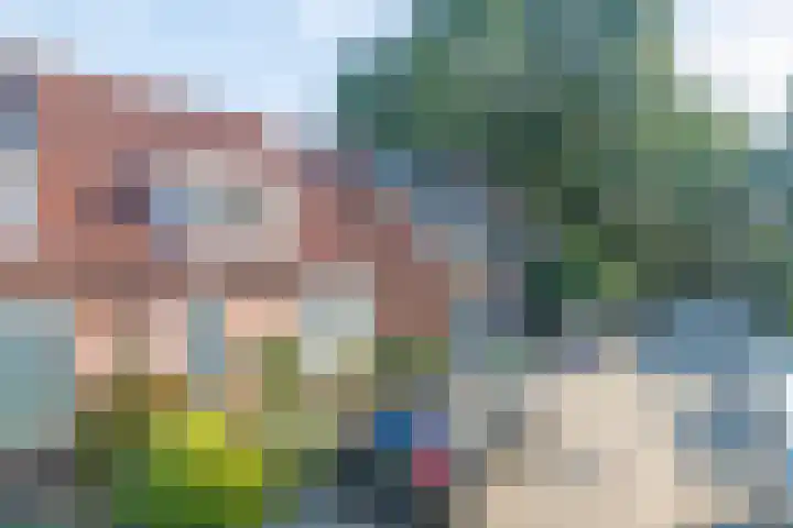 Mosveld 4 Hapert thumbnail 41