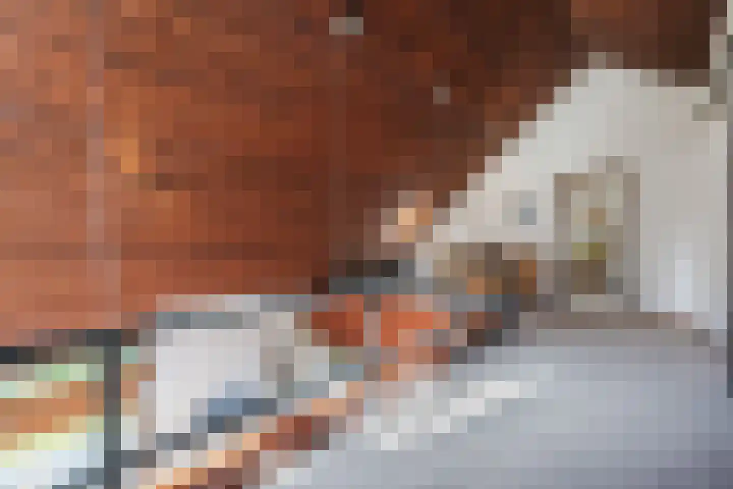 Mosweg 26 Wapenveld thumbnail 47