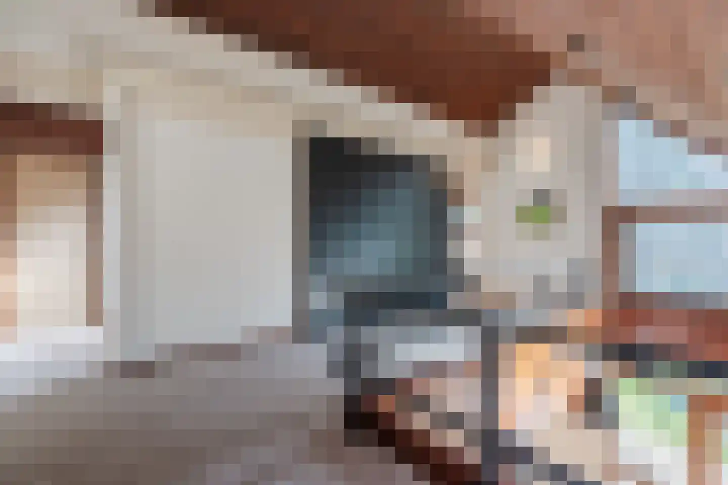 Mosweg 26 Wapenveld thumbnail 48