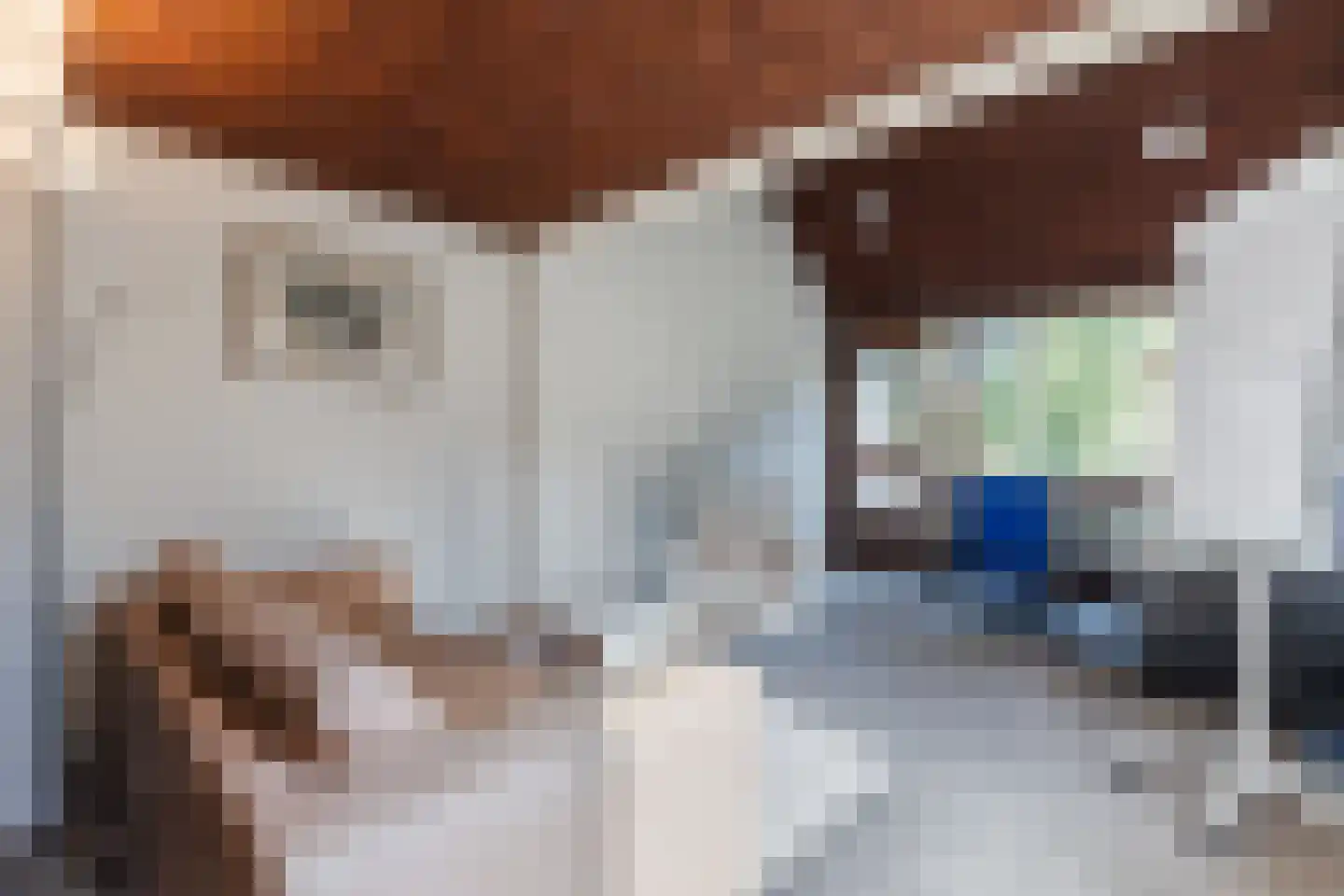 Mosweg 26 Wapenveld thumbnail 50