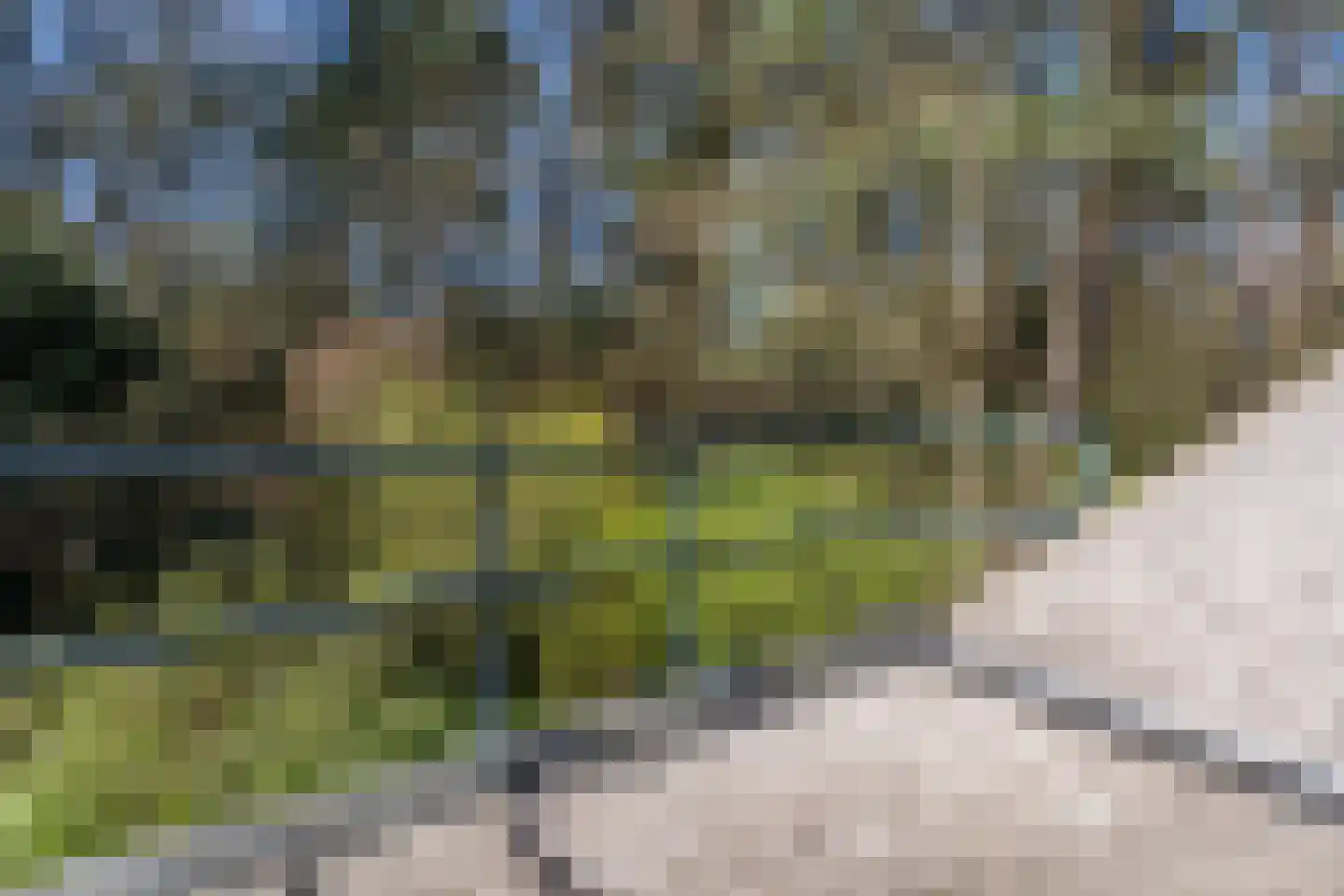 Mosweg 26 Wapenveld thumbnail 53