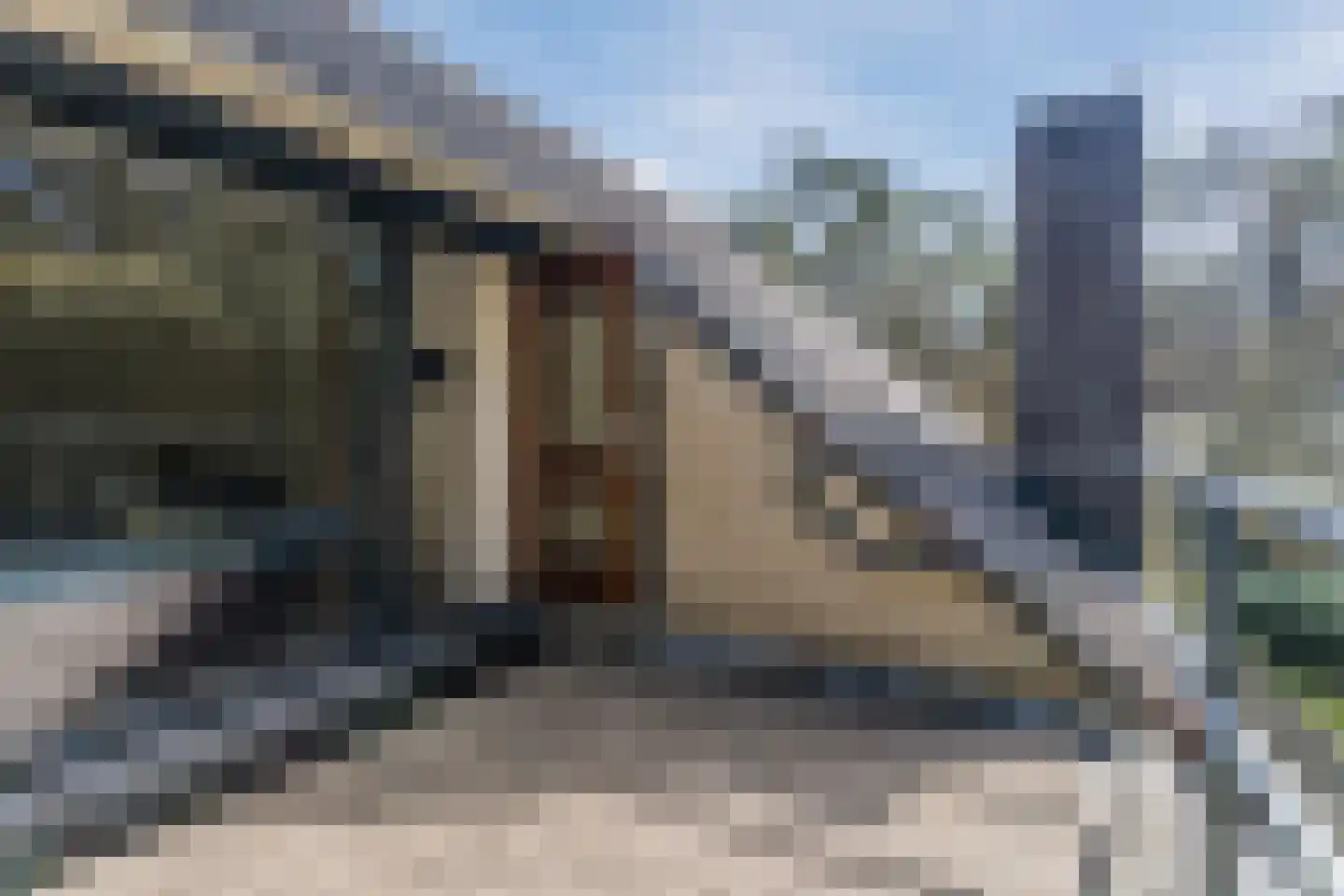 Mosweg 26 Wapenveld thumbnail 55