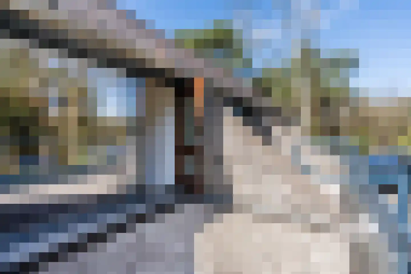 Mosweg 26 Wapenveld thumbnail 58