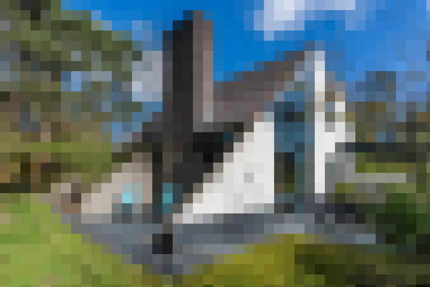 Mosweg 26 Wapenveld thumbnail 59