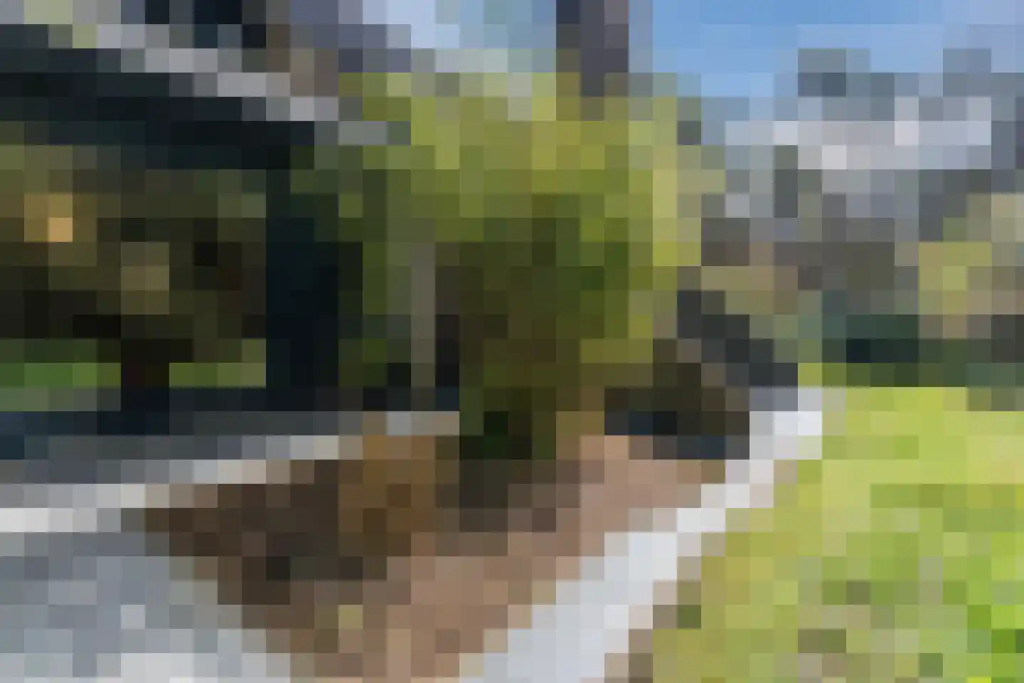 Mosweg 26 Wapenveld thumbnail 60
