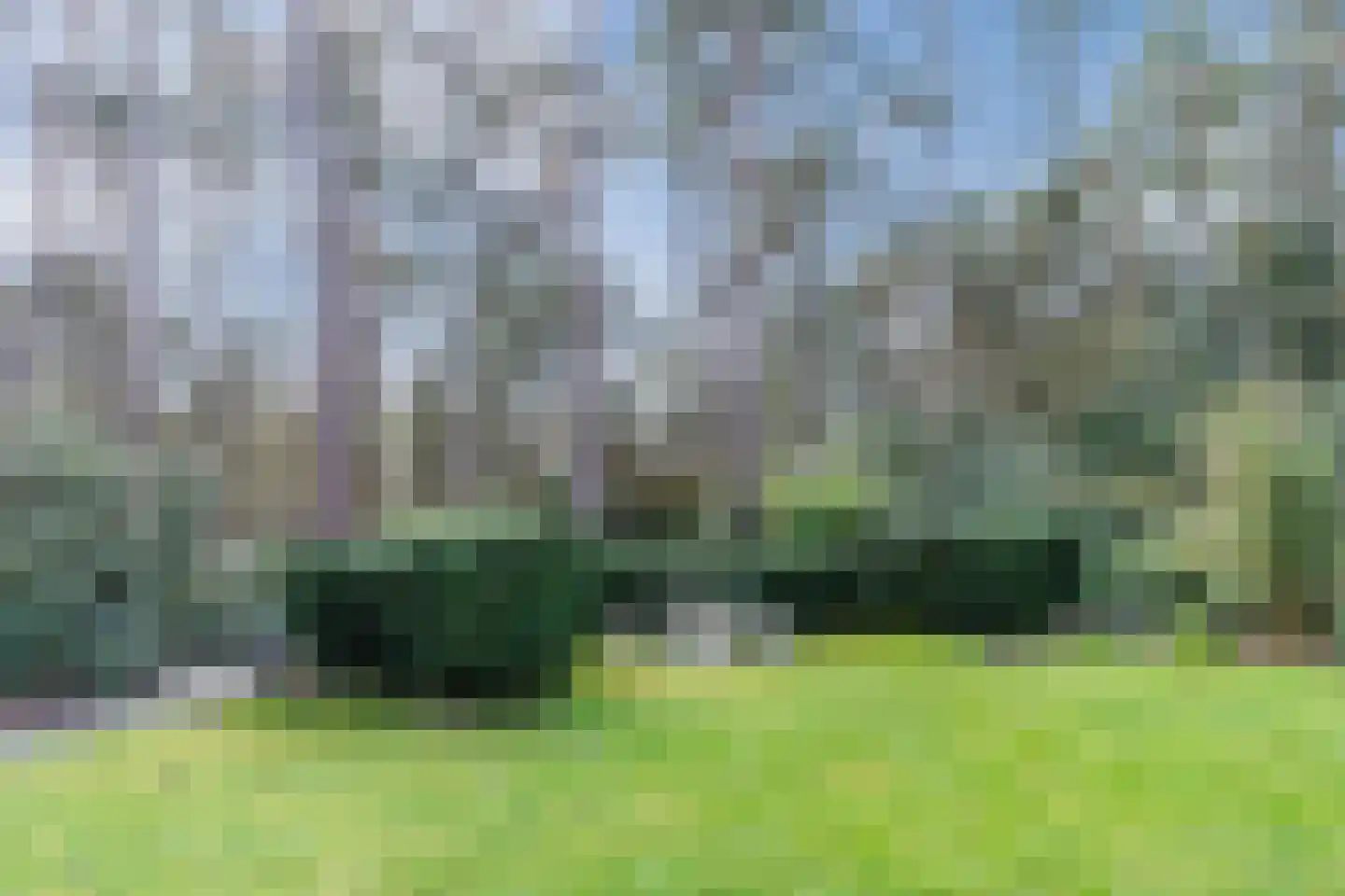 Mosweg 26 Wapenveld thumbnail 66