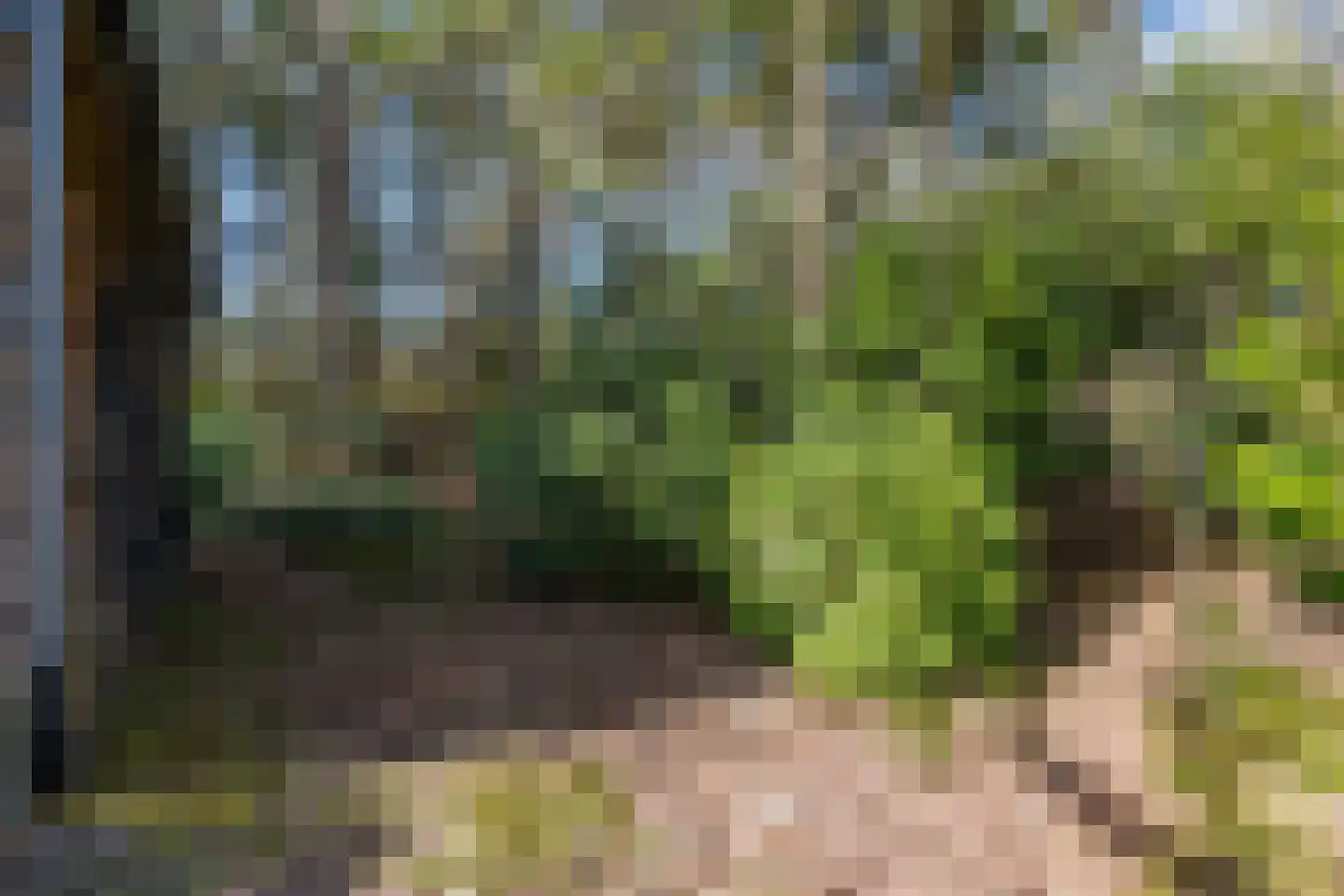 Mosweg 26 Wapenveld thumbnail 67