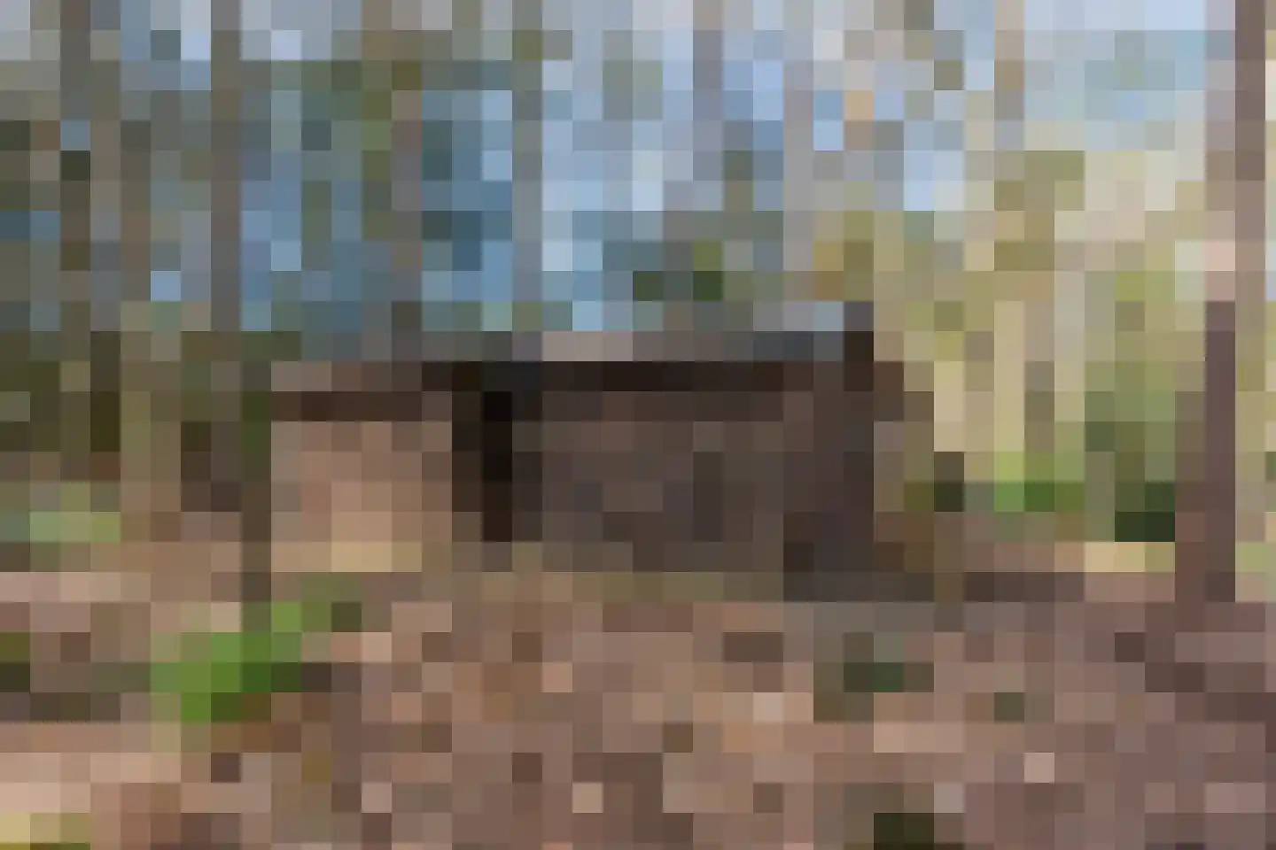 Mosweg 26 Wapenveld thumbnail 70