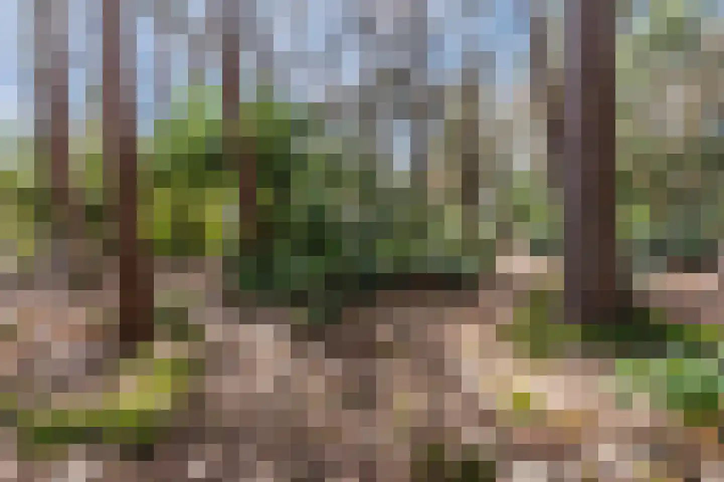 Mosweg 26 Wapenveld thumbnail 72