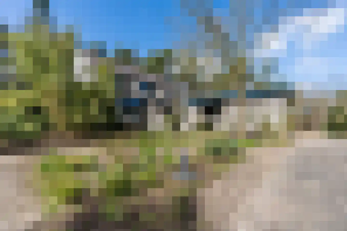 Mosweg 26 Wapenveld thumbnail 73