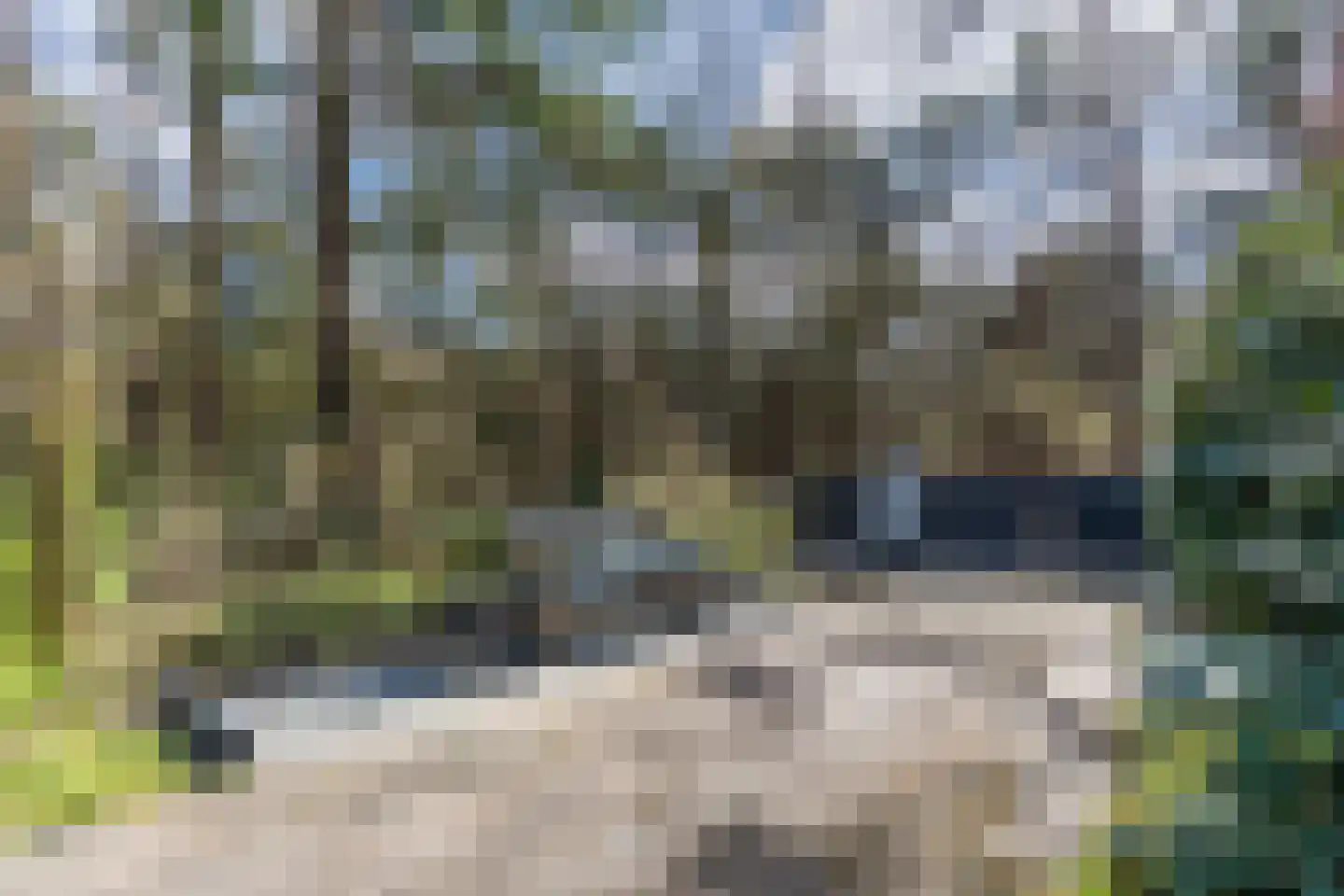 Mosweg 26 Wapenveld thumbnail 77