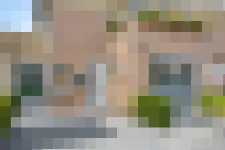 Motet 14 Kampen thumbnail 11