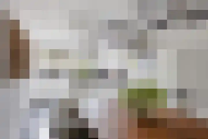 Motet 14 Kampen thumbnail 21