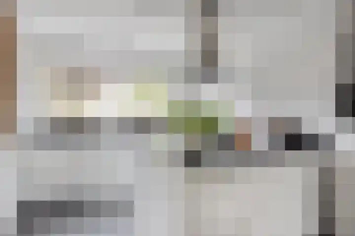 Motet 14 Kampen thumbnail 22