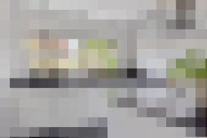 Motet 14 Kampen thumbnail 23