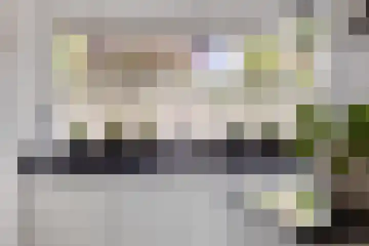 Motet 14 Kampen thumbnail 24