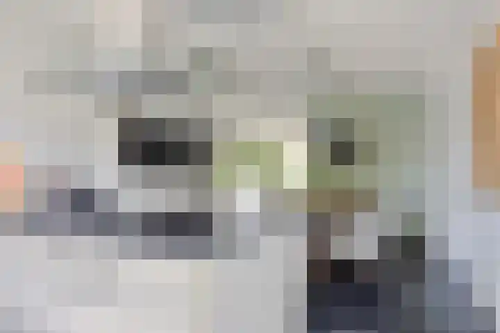 Motet 14 Kampen thumbnail 25