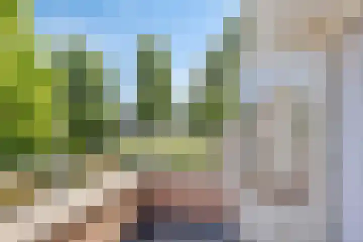 Motet 14 Kampen thumbnail 35