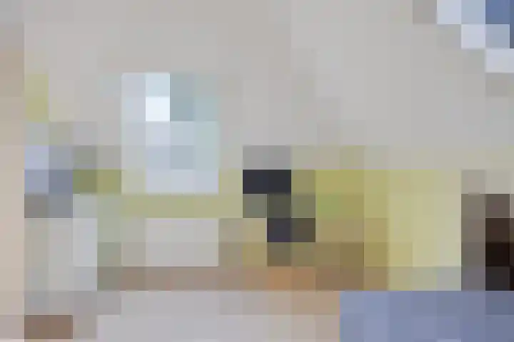 Motet 14 Kampen thumbnail 48