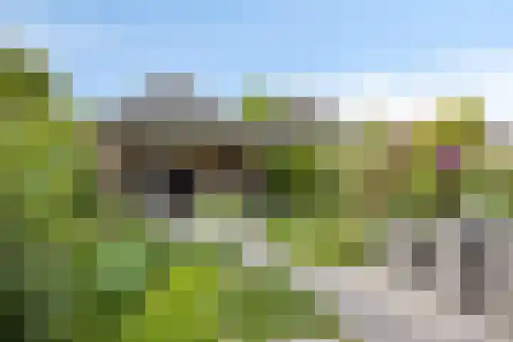Motet 14 Kampen thumbnail 50