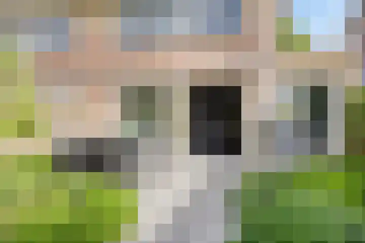 Motet 14 Kampen thumbnail 55