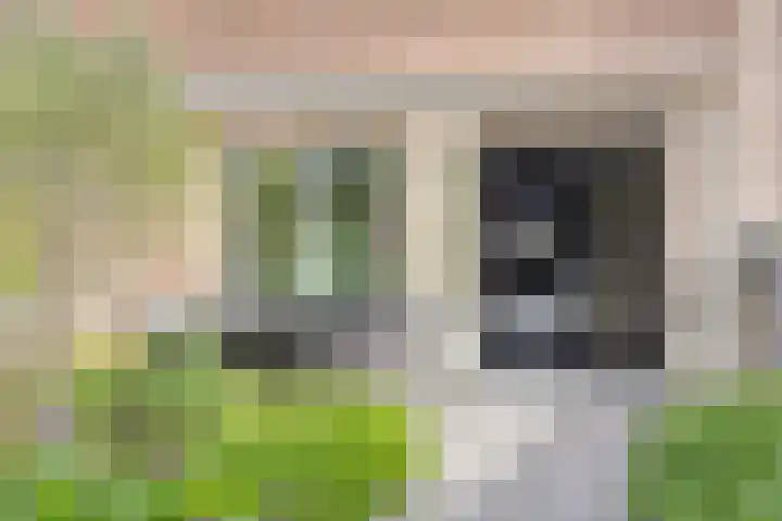 Motet 14 Kampen thumbnail 56
