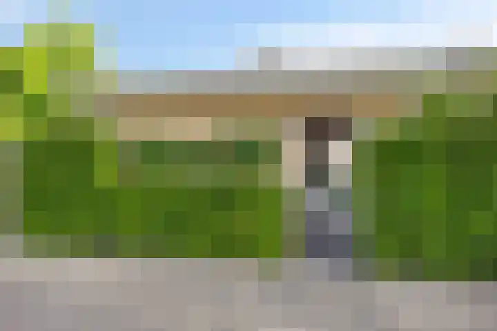 Motet 14 Kampen thumbnail 60