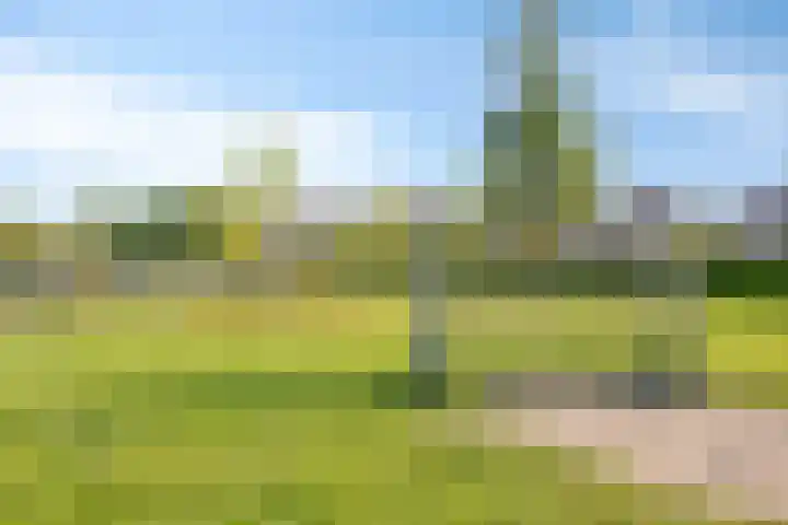 Motet 14 Kampen thumbnail 61