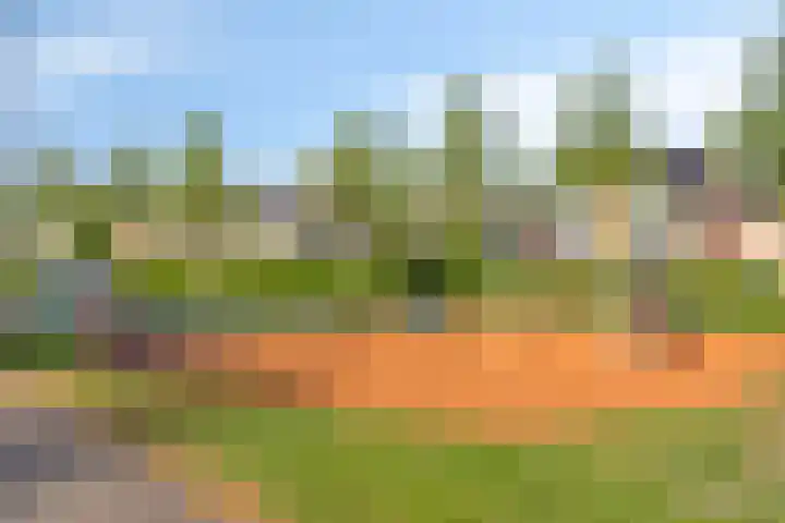Motet 14 Kampen thumbnail 63