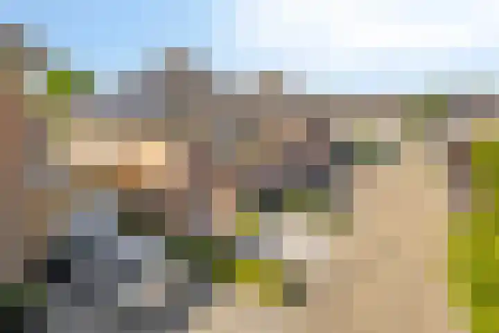 Motet 14 Kampen thumbnail 9