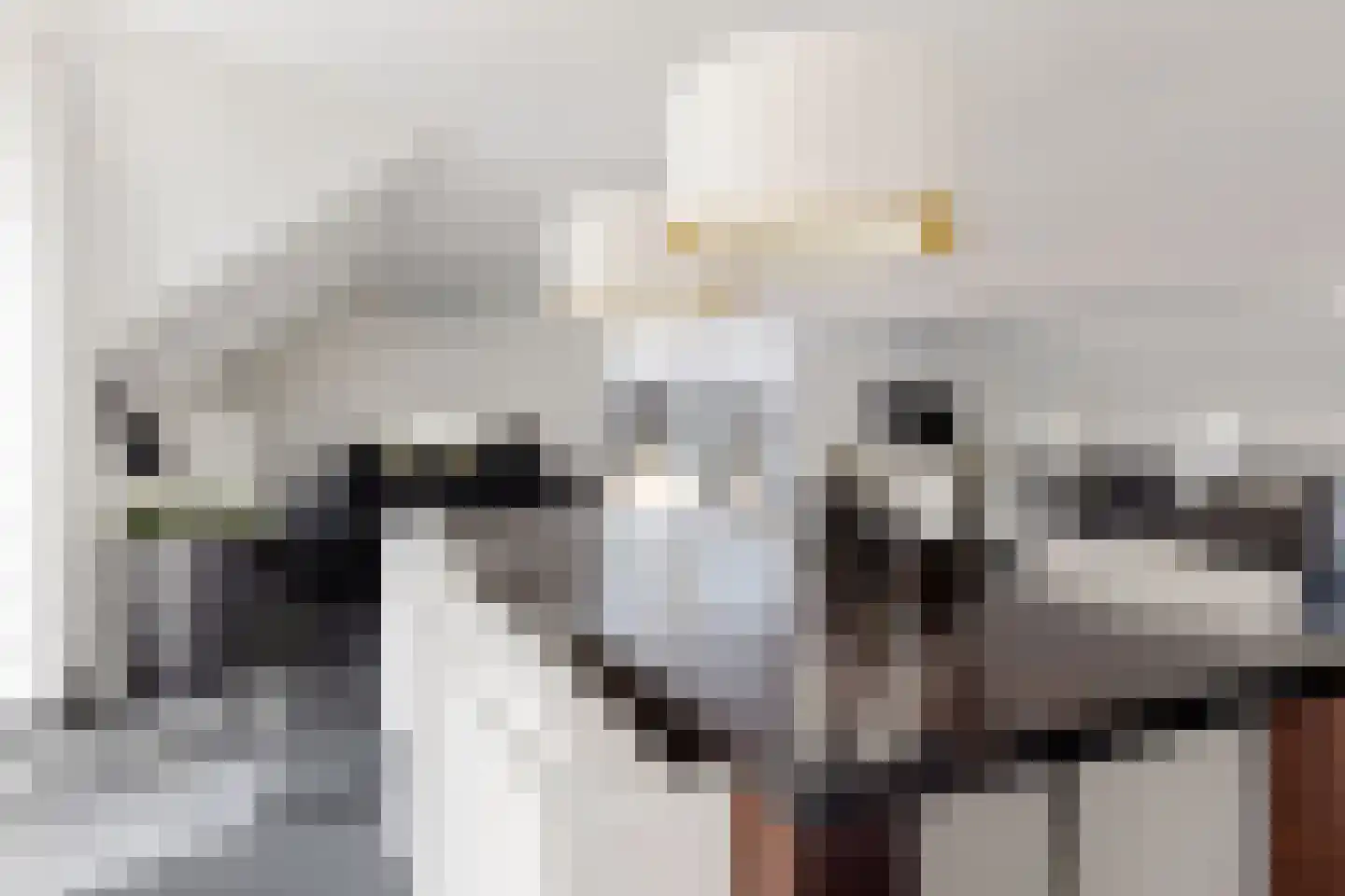 Mottenbrink 11 Onnen thumbnail 21