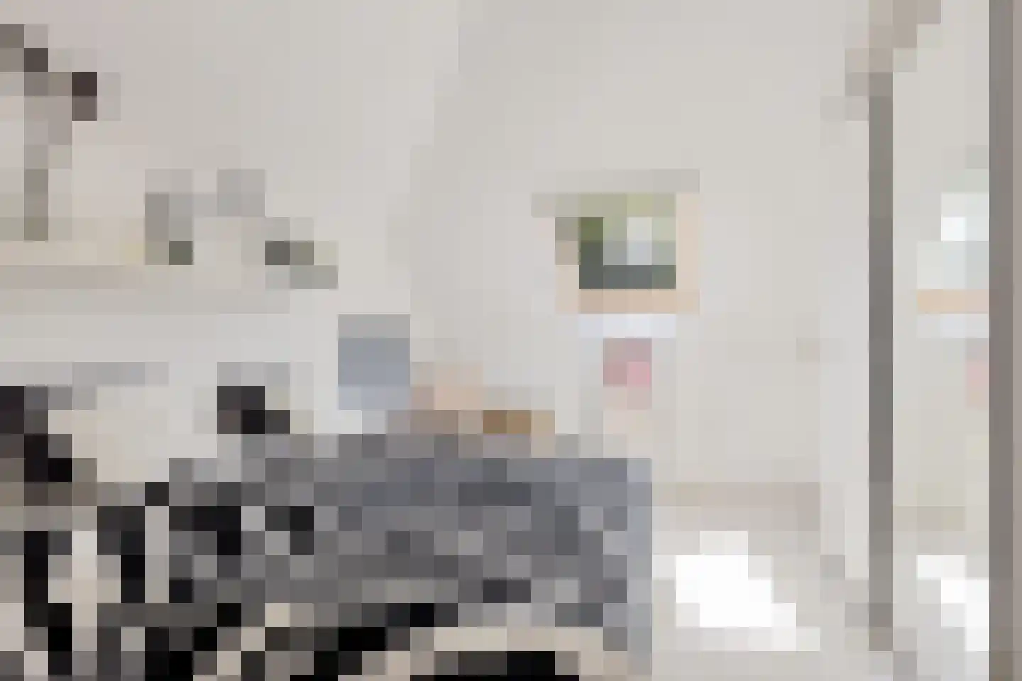 Mottenbrink 11 Onnen thumbnail 27
