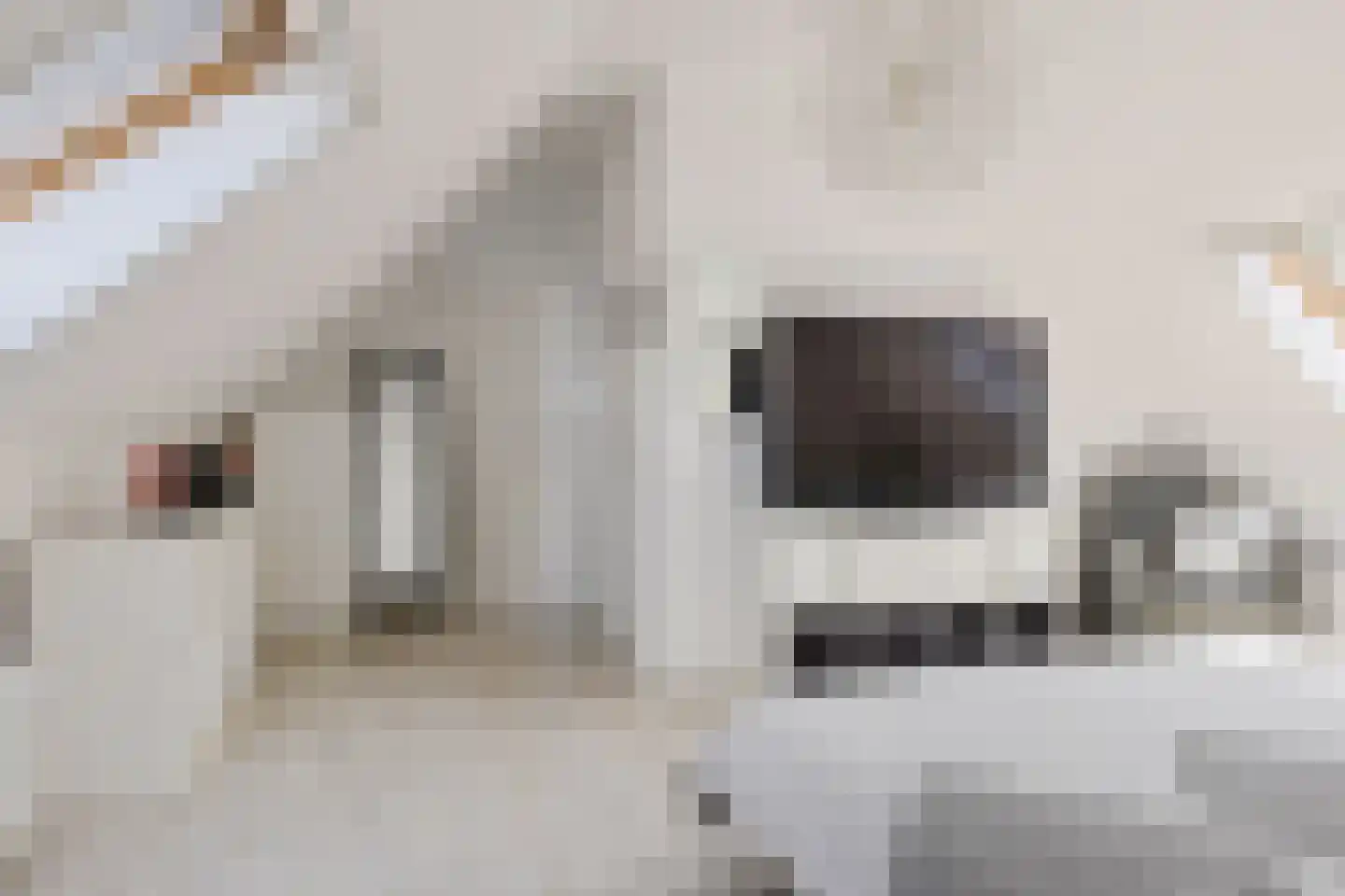 Mottenbrink 11 Onnen thumbnail 35