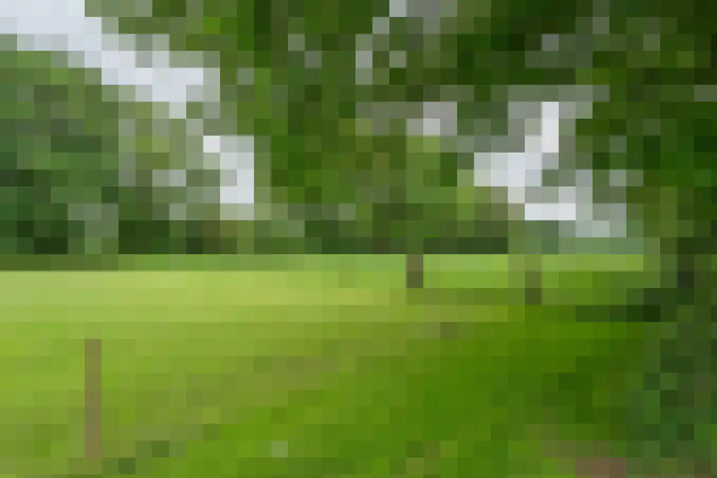 Mottenbrink 11 Onnen thumbnail 57