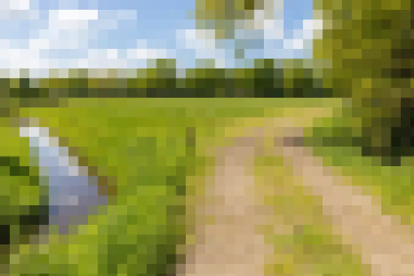 Mottenbrink 11 Onnen thumbnail 59