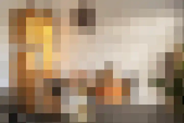 Mottoen 74 Uden thumbnail 11