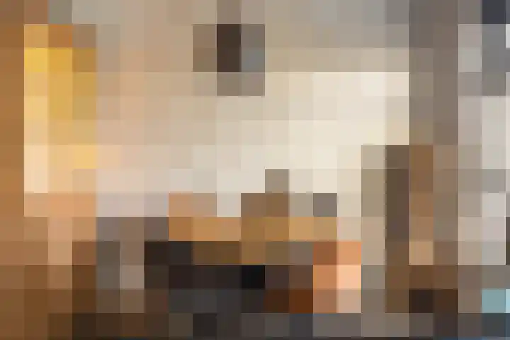 Mottoen 74 Uden thumbnail 13