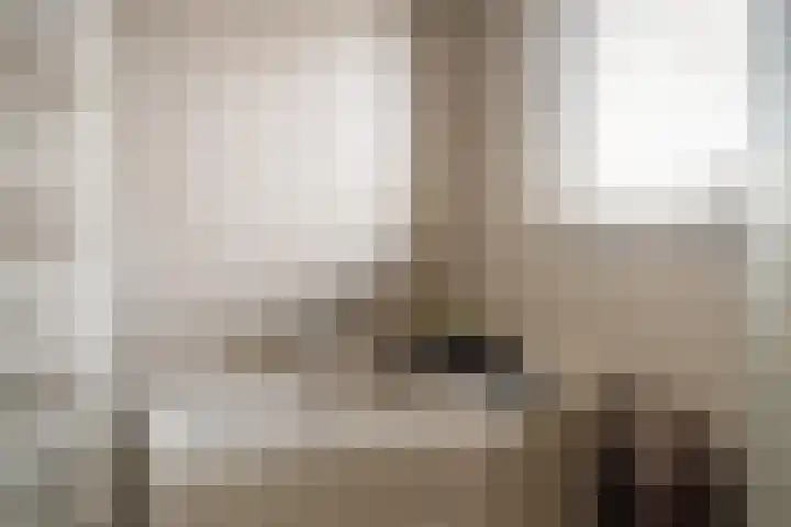 Mottoen 74 Uden thumbnail 48