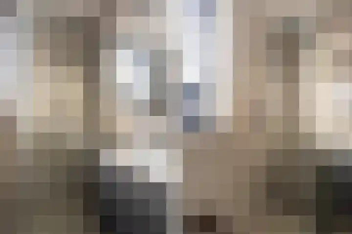 Mottoen 74 Uden thumbnail 49