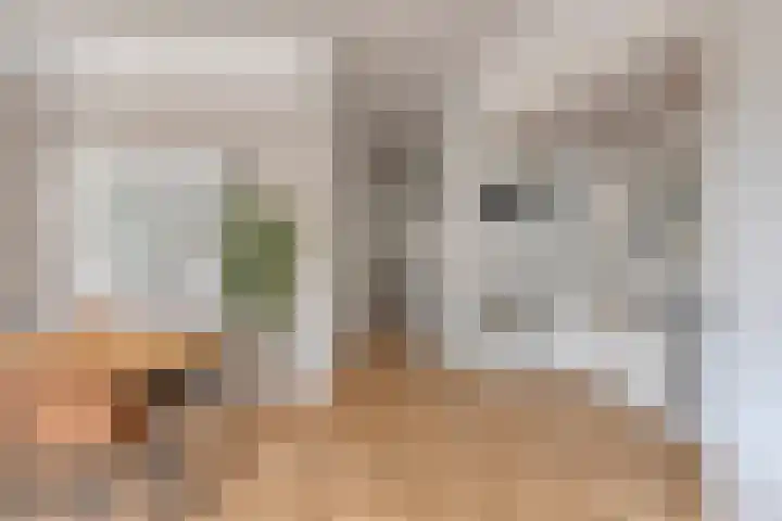 Mottoen 74 Uden thumbnail 53