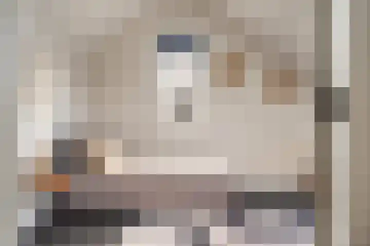 Mottoen 74 Uden thumbnail 53