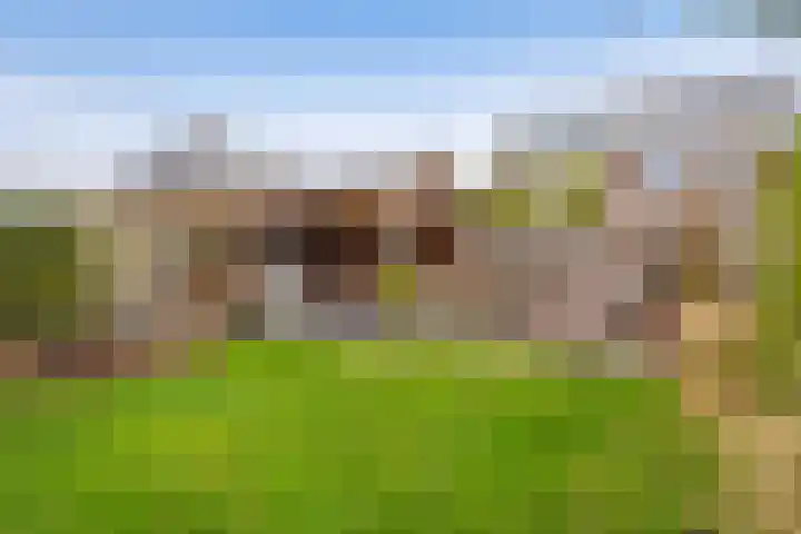 Mottoen 74 Uden thumbnail 58