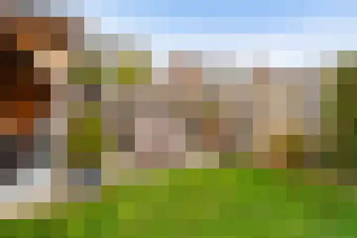 Mottoen 74 Uden thumbnail 59