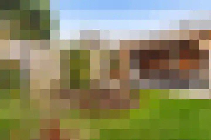 Mottoen 74 Uden thumbnail 60