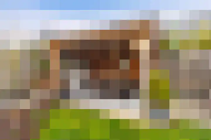 Mottoen 74 Uden thumbnail 61